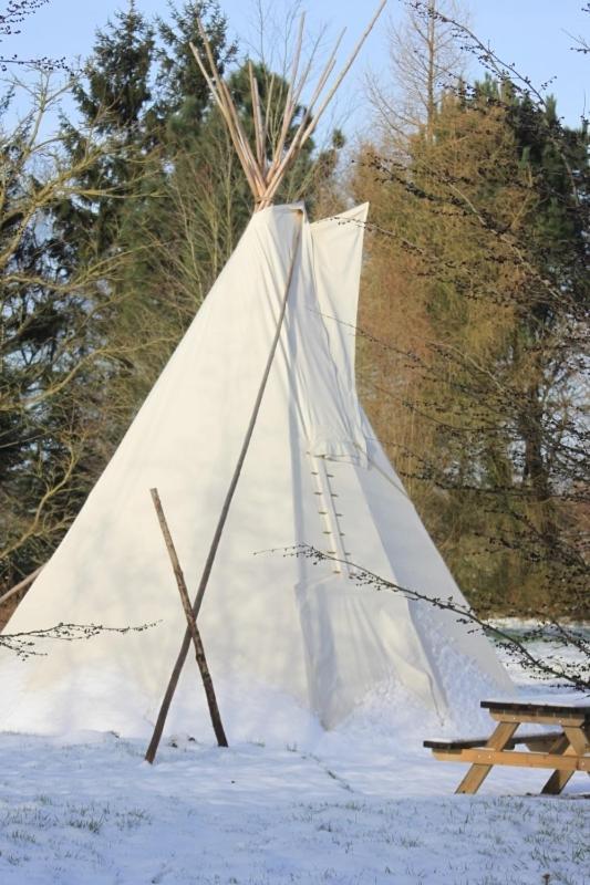 Levaltipis Hotel Saint-Gâtien-des-Bois Quarto foto