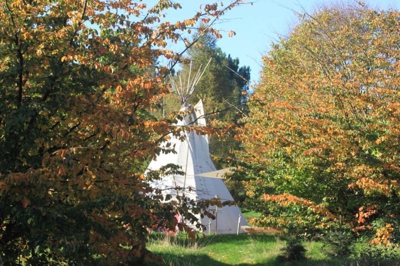 Levaltipis Hotel Saint-Gâtien-des-Bois Quarto foto