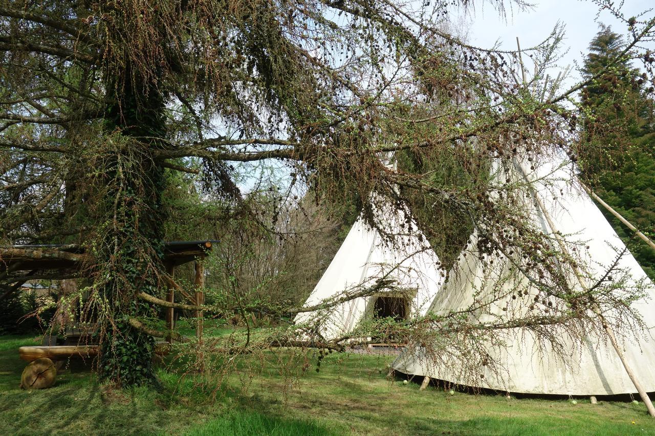 Levaltipis Hotel Saint-Gâtien-des-Bois Exterior foto